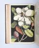 Peter Harrington Catesby
